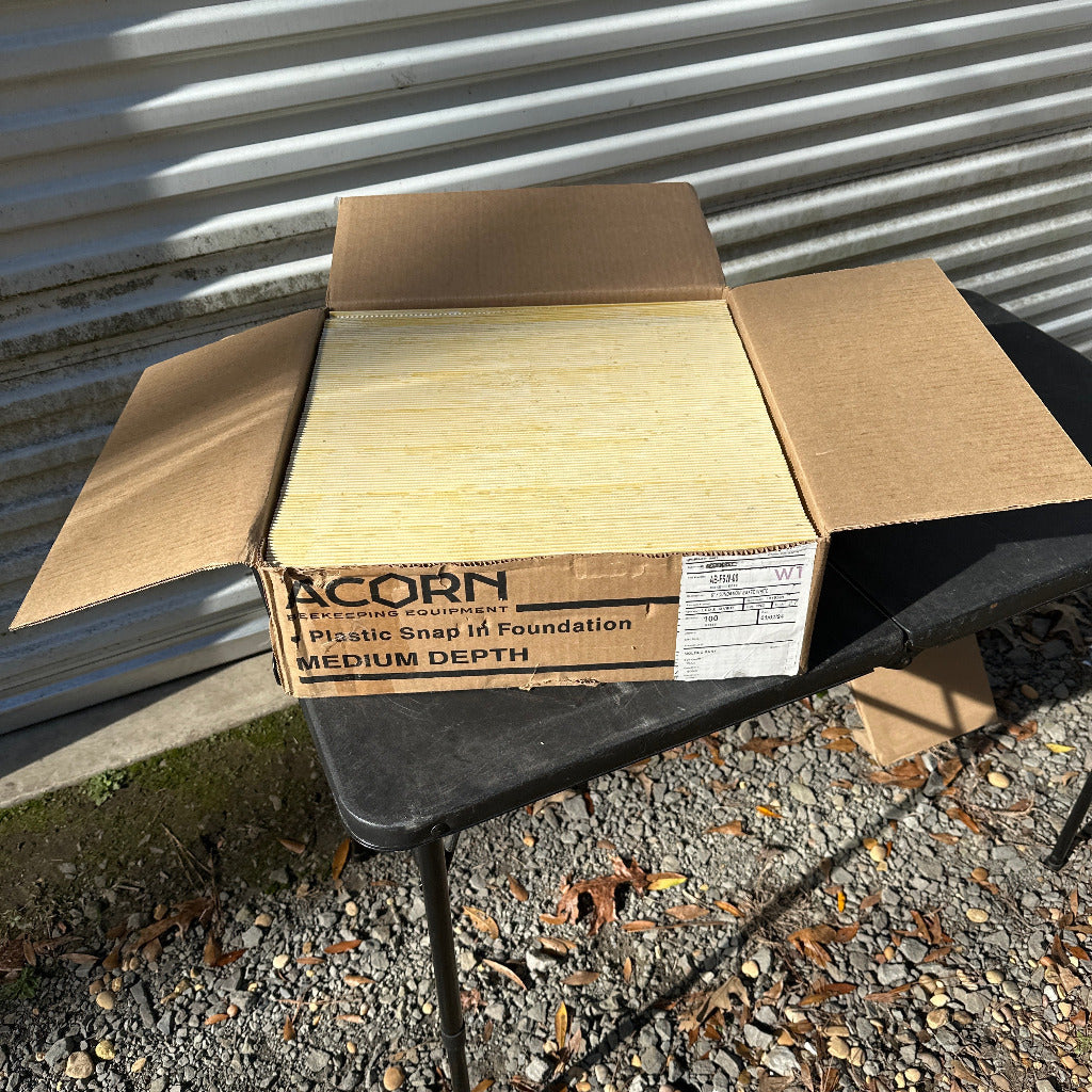 Foundation medium plastic 100 pieces