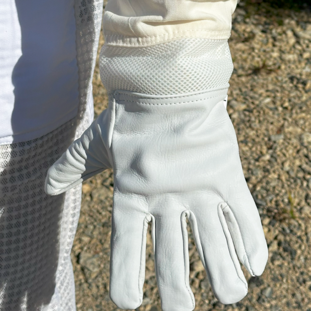 Gloves ventilated