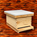 Assembled 8-frame cypress beehive kit with one deep super and frames