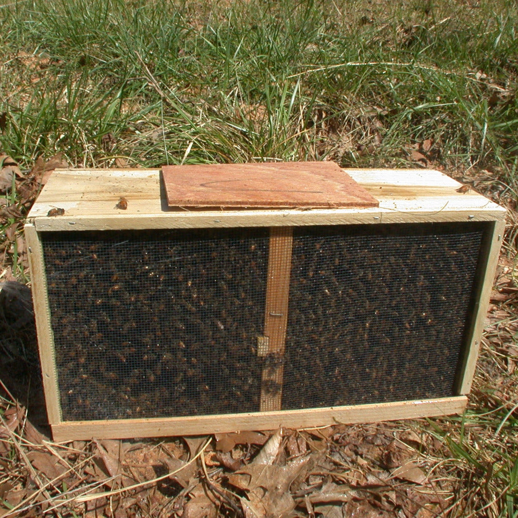 Package Bees